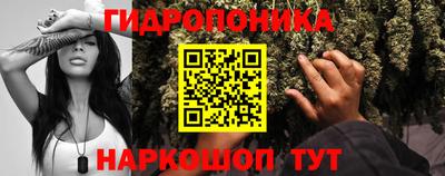 индика Ирбит