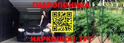 индика Ирбит