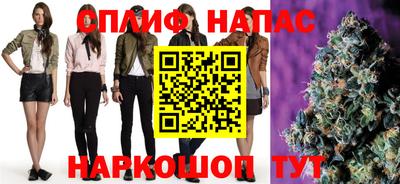 индика Ирбит