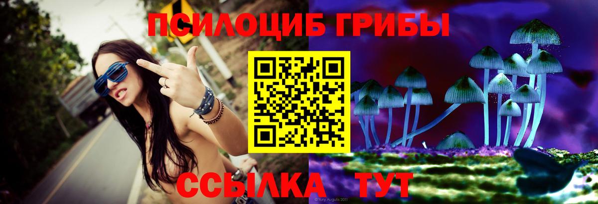 Лянтор  Галлюциногенные грибы мицелий  купить  цена  Вход с VPN 