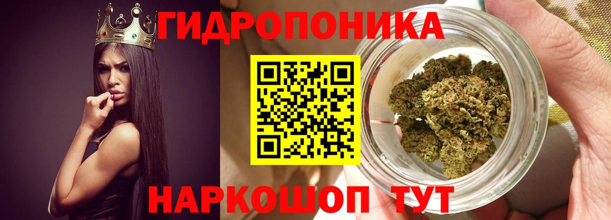 Лянтор  Бошки марихуана гибрид  Конопля план  Вход с VPN  Конопля конопля 